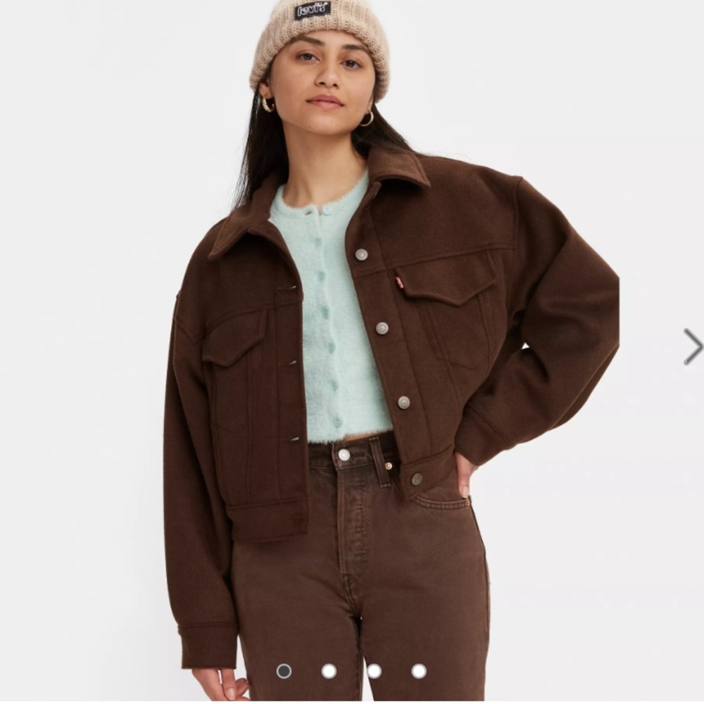 Levi’s Wool Trucker Jacket, Brown